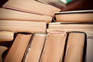 구글은 10년 넘게 가장 긴 월간 하락세를 기록한 뒤 AI 모멘텀으로 9월을 시작합니다