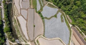 전남·광주 농산물 절도 4년간 280건…검거율 56.1%