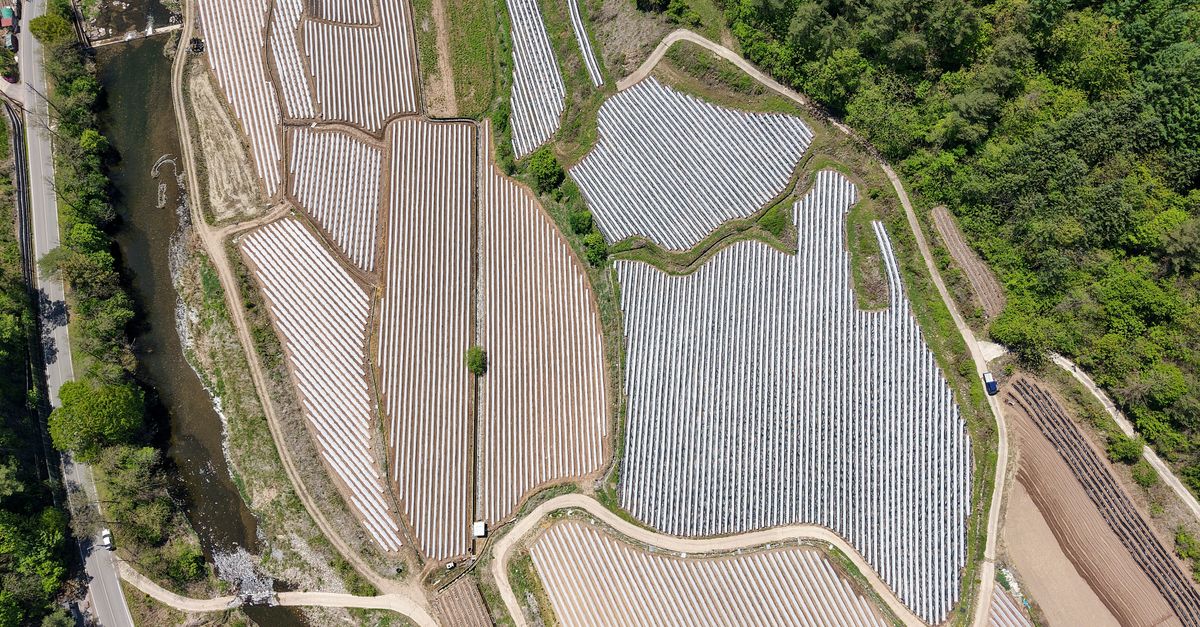 전남·광주 농산물 절도 4년간 280건…검거율 56.1%